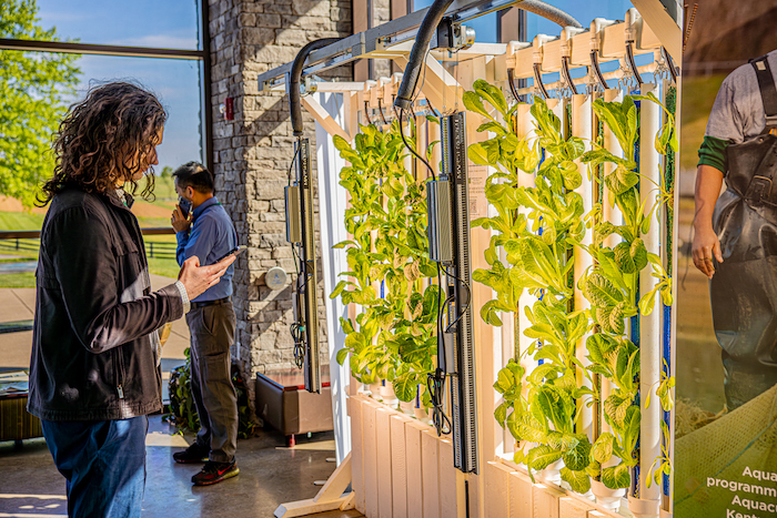 Hydroponic towers
