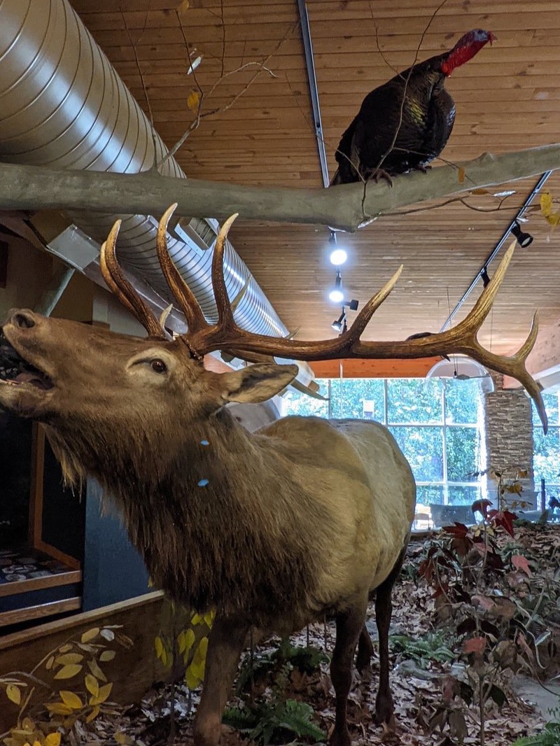 Salato Wildlife Center