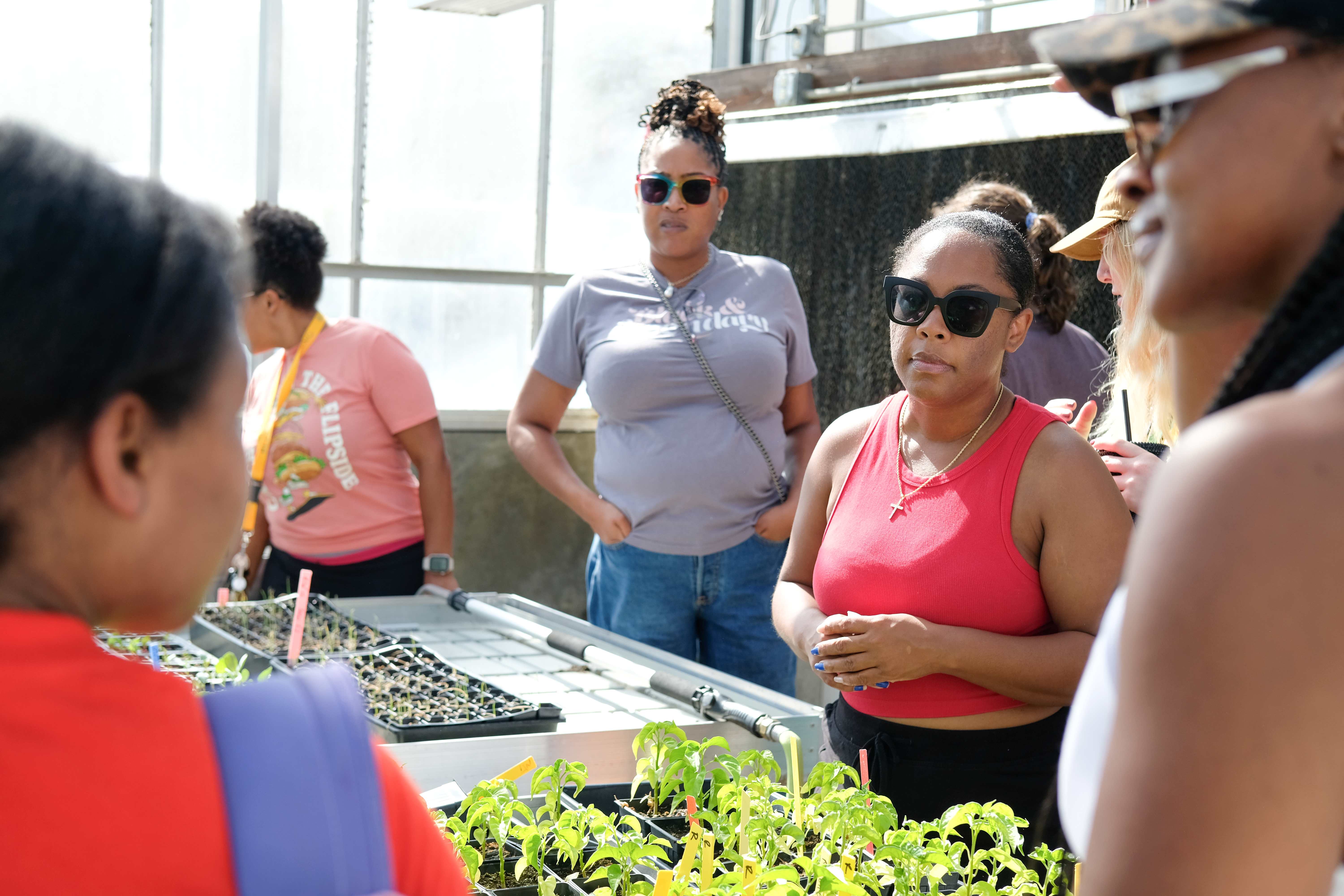 Participants learning in the greenhouse