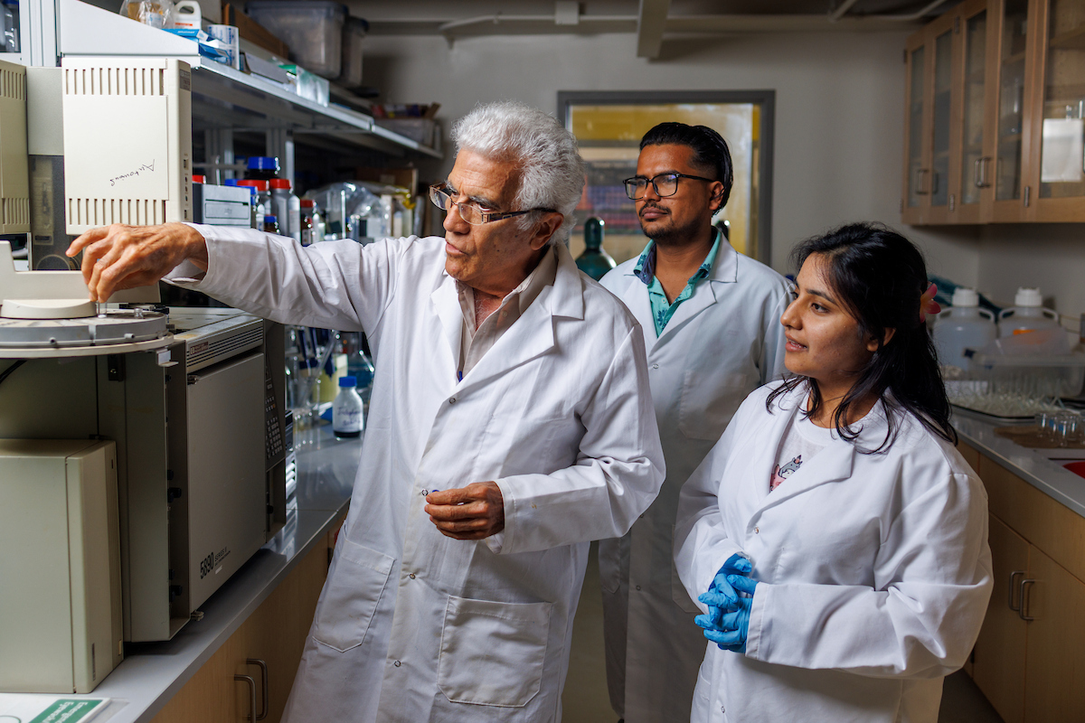 Researchers Publish Four Studies