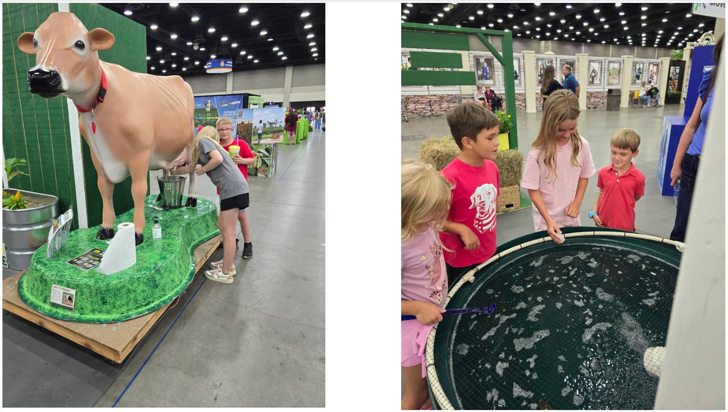 KYSU state fair collage