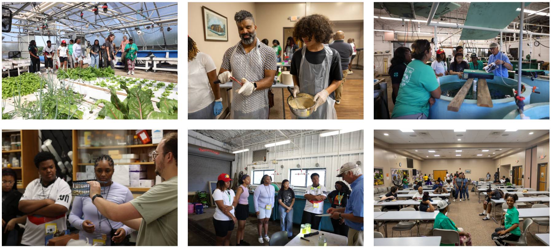 YEA Reap Experience Collage