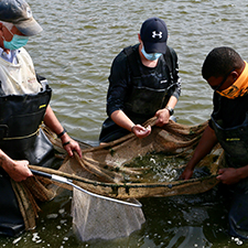 Kentucky State University students benefit from research opportunities